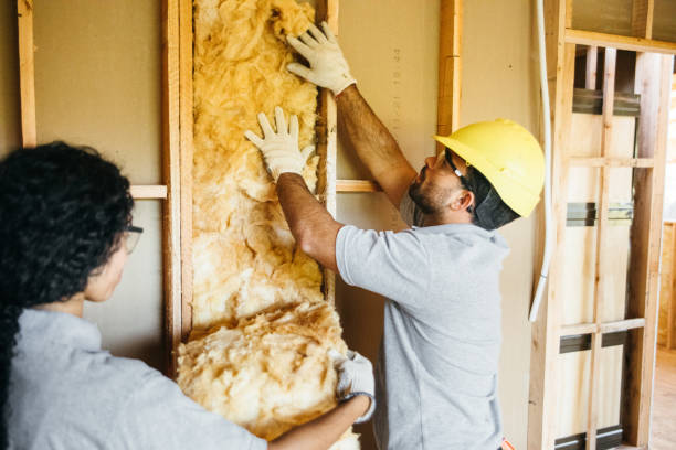 Best Blown-in Insulation  in Belleville, WI