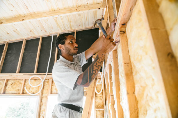 Best Insulation Contractors for Homes  in Belleville, WI