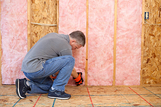 Best Professional Insulation Contractor  in Belleville, WI